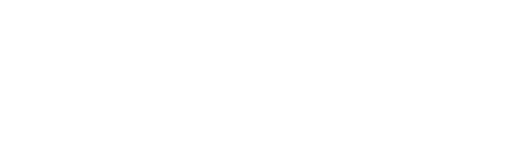 Vitalgigs