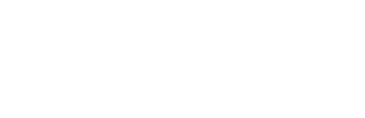Vitalgigs Logo